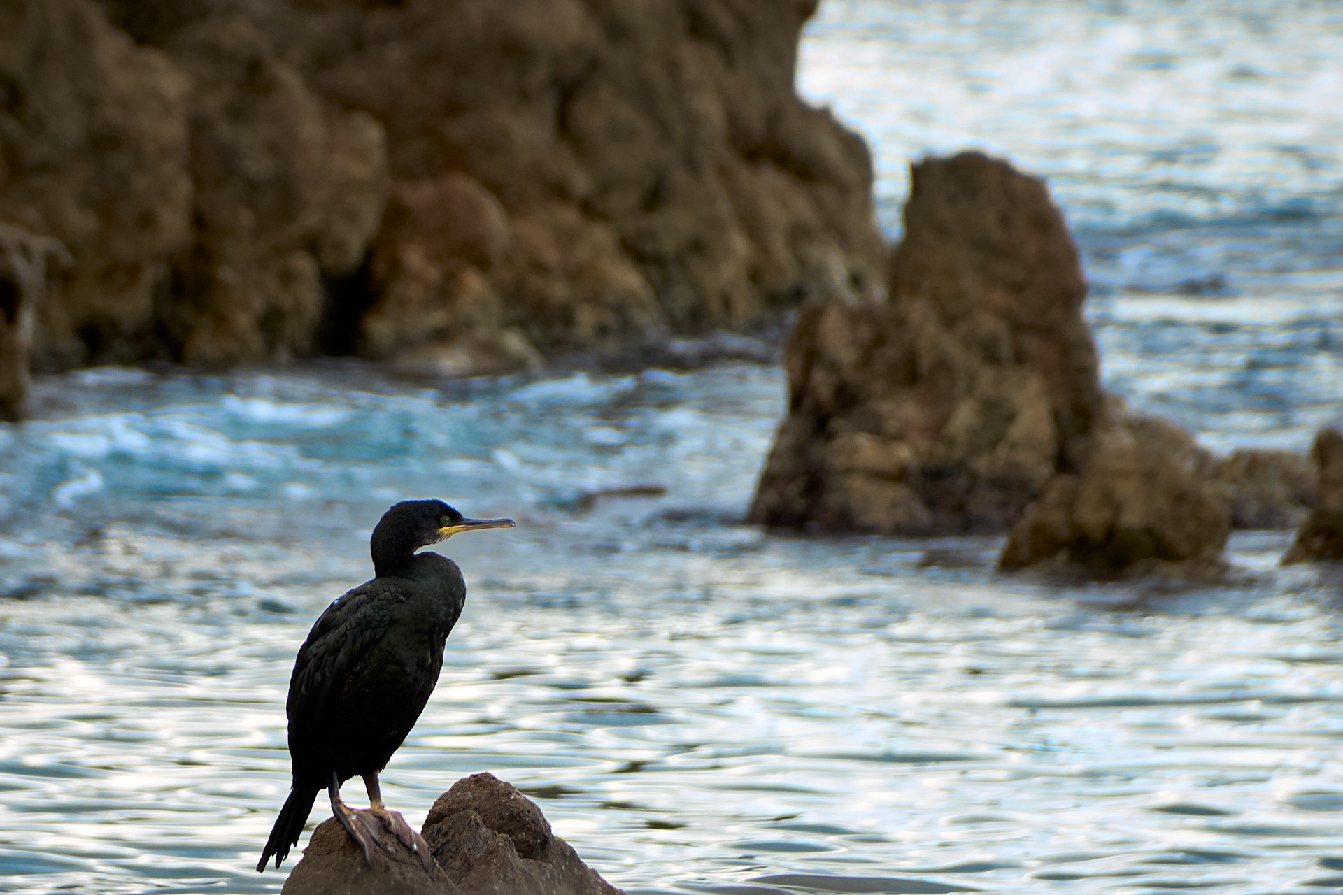 Cap Roig 200830 2112